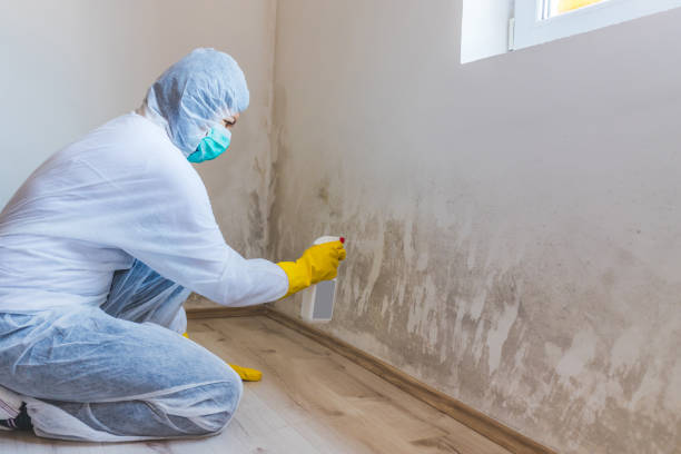 Hvac And Air Duct Mold Remediation inspection of HVAC system in Butler